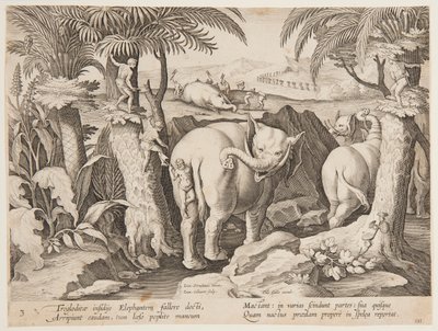Cavemen Chasing Elephants, płyta 3 z serii Polowanie na dzikie zwierzęta, ptaki i ryby autorstwa Jan van der Straet, called Stradanus