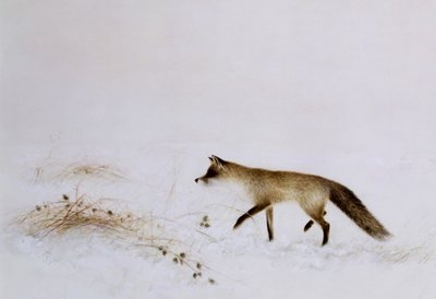 Lis w śniegu autorstwa Jane Neville