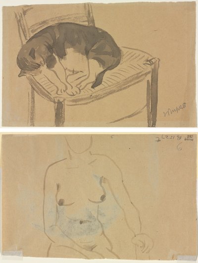 Śpiący kot (recto) Tułów nagiej kobiety (verso) autorstwa Jane Poupelet