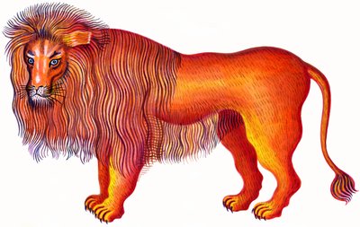 Lew Lew, 1996, (atrament i gwasz) autorstwa Jane Tattersfield