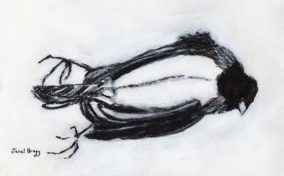 Martwy ptak przy mojej klatce schodowej, ok. 2018 (węgiel i gesso na papierze) autorstwa Janel Bragg