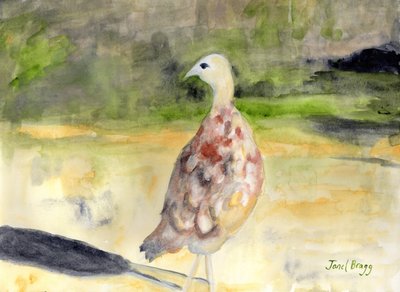 Samica bażanta, ok. 2016 (akwarela i kazeina na papierze) autorstwa Janel Bragg