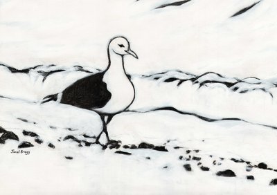 Mewa z Washington Park, ok. 2017 (węgiel i gesso na papierze) autorstwa Janel Bragg