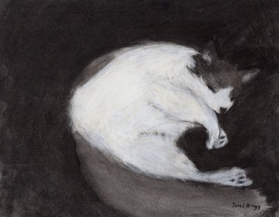 Thomas Taking a Nap, ok. 2018 (węgiel i pastel na papierze) autorstwa Janel Bragg