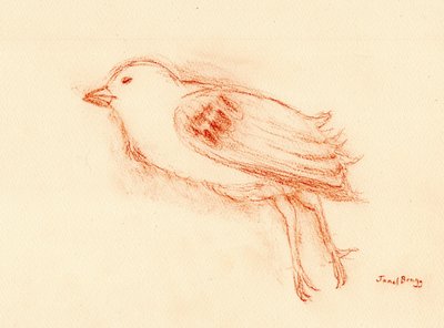 Vulerability and Death in Summer (Dead Bird by my Stairwell III) ok. 2021 (pastel na papierze) autorstwa Janel Bragg