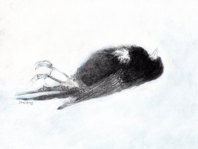 Wrażliwość i śmierć zimą (Dead Bird by my Stairwell II, ok. 2019) węgiel i gesso na papierze) autorstwa Janel Bragg