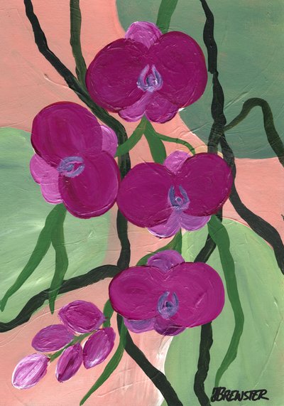  autorstwa Janine Brewster