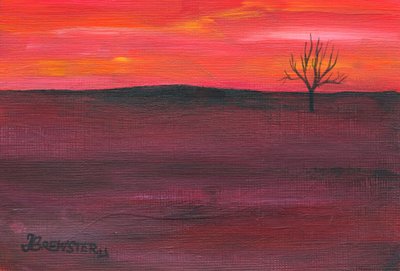  autorstwa Janine Brewster