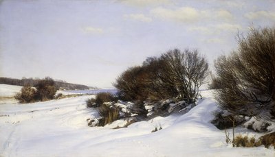 Zima nad morzem, 1888 autorstwa Janus La Cour