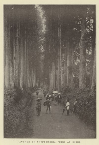 Aleja sosen Cryptomeria w Nikko autorstwa Japanese Photographer
