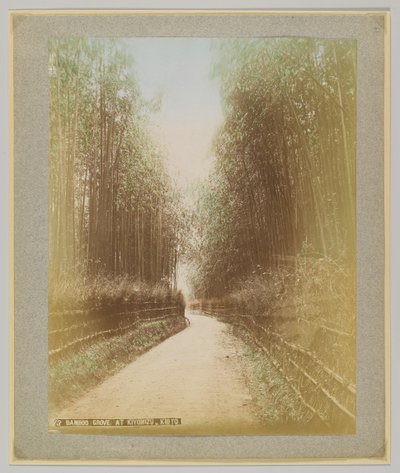 Bamboo Grove w Kiyomizu, Kioto, Japonia (ręcznie kolorowane czarno-białe zdjęcie) autorstwa Japanese Photographer