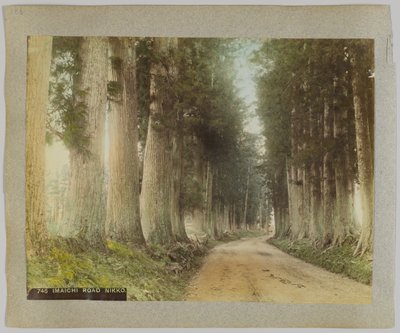 Imaichi Road, Nikko, Japonia (ręcznie kolorowane czarno-białe zdjęcie) autorstwa Japanese Photographer