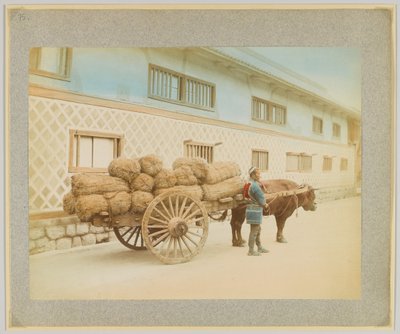Mężczyzna z wołem i wozem, Japonia (ręcznie kolorowane czarno-białe zdjęcie) autorstwa Japanese Photographer