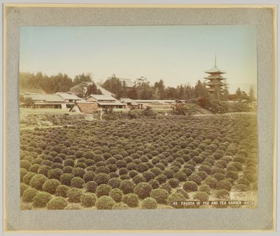 Pagoda Tōji i Ogród Herbaciany, Kioto, Japonia (zdjęcie ręcznie kolorowane czarno-białe) autorstwa Japanese Photographer