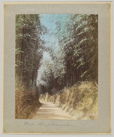 Droga przez bambusowy gaj, Japonia (ręcznie kolorowane czarno-białe zdjęcie) autorstwa Japanese Photographer