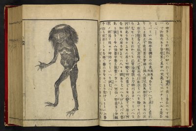 16084.d.15, f.24 A Neneko Kappa, z „Tonegawa Zushi” Akamatsu Sōtana, publ.1855 (drzewryt) autorstwa Japanese School