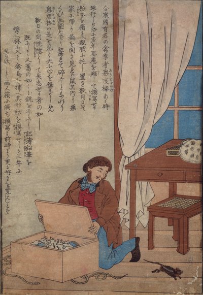 Audubon otwiera swoje pudełko z akwarelami zniszczone przez szczury norweskie, ok. 1872-77 autorstwa Japanese School