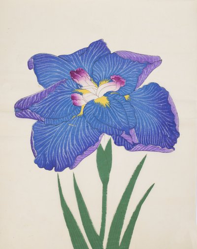 Azumabotan, nr 89, 1890 (kolorowa odbitka drzeworytnicza) autorstwa Japanese School