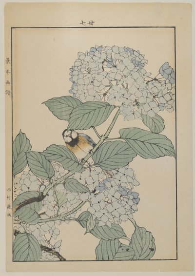Ptak z hortensją, okres Meiji, ok. 1868-1912 (kolorowa odbitka drzeworytnicza) autorstwa Japanese School