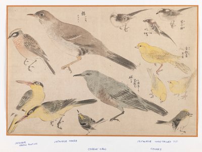 Ptaki w stylu Okyo (kolorowy druk drewna) autorstwa Japanese School