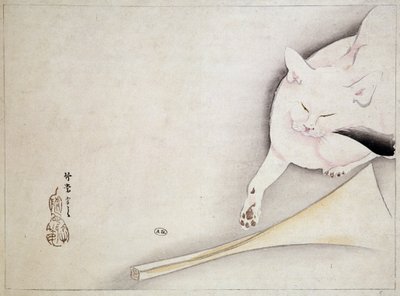 Kot, rysunek japoński, b.d. 19 wiek. autorstwa Japanese School