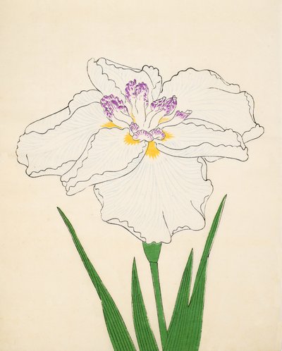 Cho-Hiyen, nr 91, 1890 (kolorowa odbitka drzeworytnicza) autorstwa Japanese School