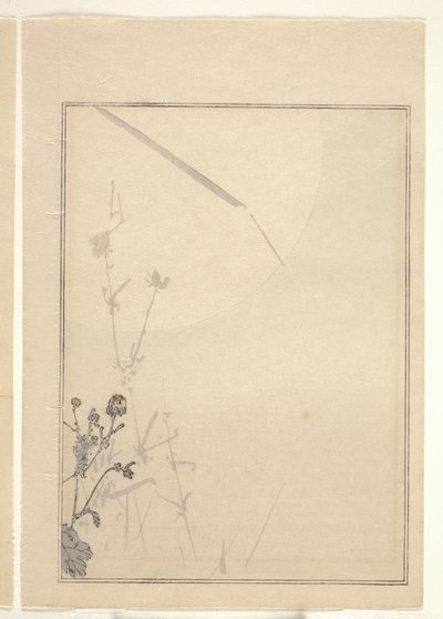 Chryzantemy (drzeworyt kolorowy) (patrz także 374402) autorstwa Japanese School