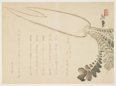 Rzodkiew Daikon, styczeń 1864 (kolorowy drzeworyt) autorstwa Japanese School