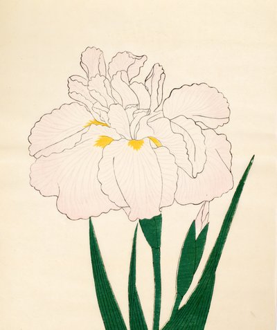 En-Yo-No-Ten, nr 73, 1890 (drzeworyt kolorowy) autorstwa Japanese School