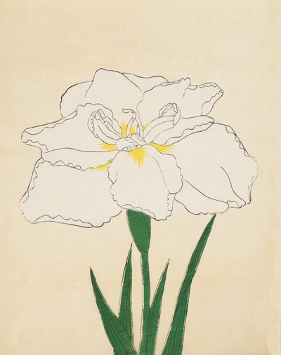 Haku-O-Den, nr 40, 1890 (kolorowy drzeworyt) autorstwa Japanese School