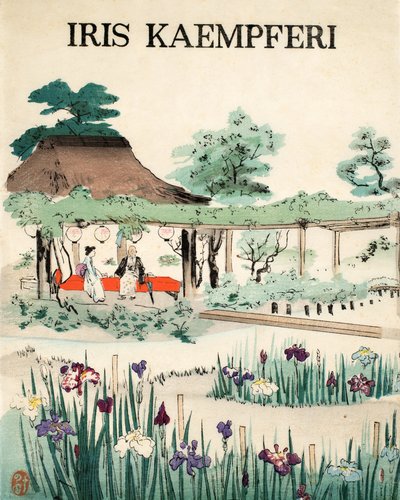 Iris Kaempferi - Przednia okładka, 1890 autorstwa Japanese School