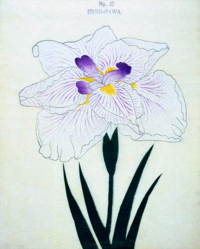 Po stronie Izumi. 37, 1898 r autorstwa Japanese School