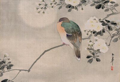 Japoński jedwabny obraz gołębia leśnego autorstwa Japanese School