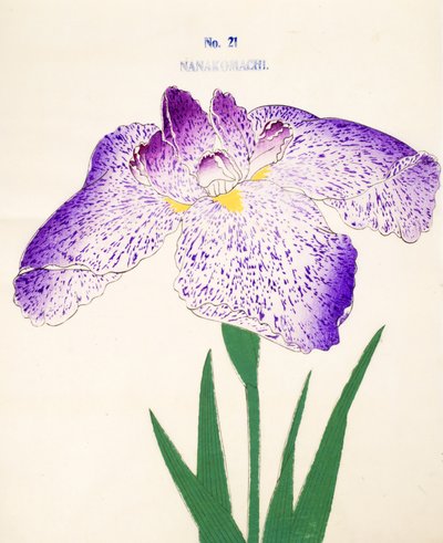 Siedmiu Komachi. 21, 1898 r autorstwa Japanese School