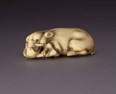 Netsuke przedstawiający leżącego dzika, ok. 1930 r. 1750-80 (róg narwahla) (patrz też 210190) autorstwa Japanese School