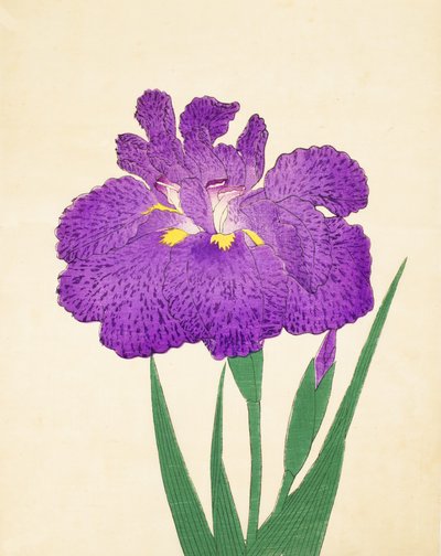 Rozłóż to na Nyo. 11, 1898 r autorstwa Japanese School