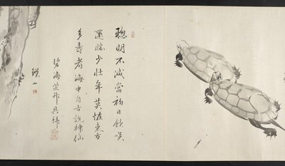 Lub. 14872, f.36, Dwa żółwie, z Yoshida Seisai (zwój) autorstwa Japanese School