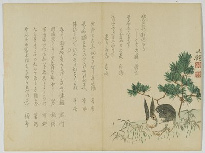 Królik pod sosną noworoczną, ok. 1860 (drewnodruk) autorstwa Japanese School