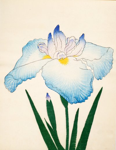 Fale. 68, 1890 autorstwa Japanese School