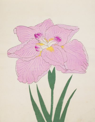 Shu-Fu-Raku, nr 58, 1890 (kolorowa odbitka drzeworytnicza) autorstwa Japanese School