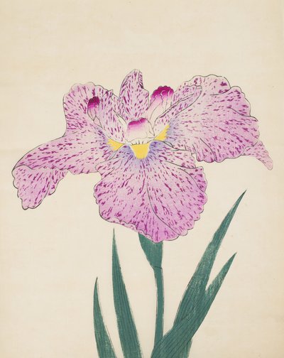Tanka-No-Koe, nr 15, 1890 (odbitka barwna) autorstwa Japanese School