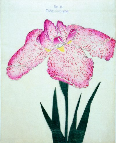 Cysterny. -Poza. 15, 1898 r autorstwa Japanese School