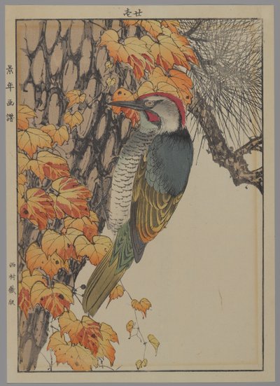 Dzięcioł, 1892 (kolorowa odbitka drzeworytnicza) autorstwa Japanese School