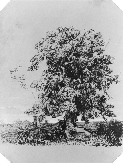 Pejzaż z drzewem i wsią w oddali (z albumu Cropseya) autorstwa Jasper Francis Cropsey