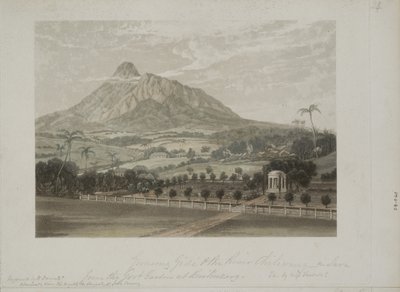 Ogród w Buitenzorg (akwatinta) autorstwa Javanese School