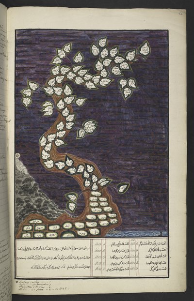 Lub. 15932, ks. 72r, Wykres genealogiczny w formie drzewa władców Jawy, od Adama do Pakuwany IV (z Surakarty) i Matarama IV (Hamengkubuwana IV z Yogykarty), w rękopisie jawajski, Papakem Pawukon autorstwa Javanese School