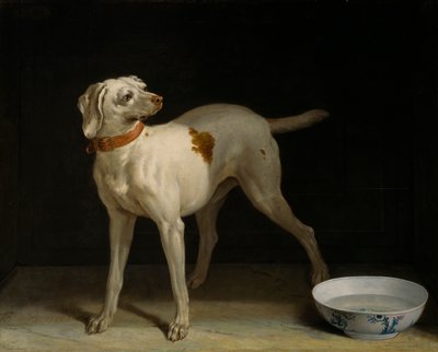 Pies autorstwa Jean Baptiste Oudry