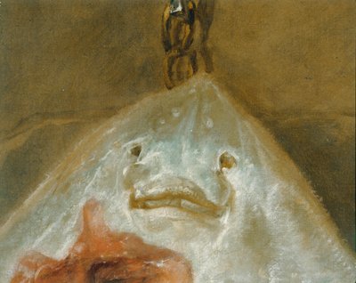 Łyżwa - La raie ... autorstwa Jean-Baptiste Simeon Chardin