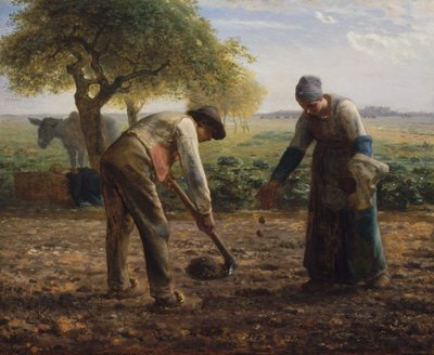Sadzarki do ziemniaków autorstwa Jean-Francois Millet