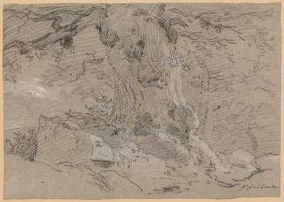 Studium starego pnia drzewa autorstwa Jean Antoine Linck